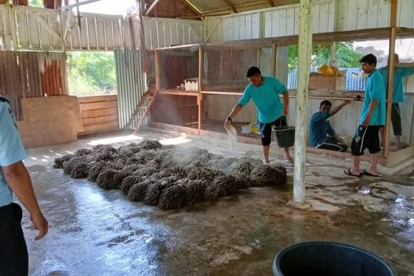Warga binaan lapas Terbuka Kelas IIB Pasaman antusias mengikuti Pelatihan Budidaya jamur